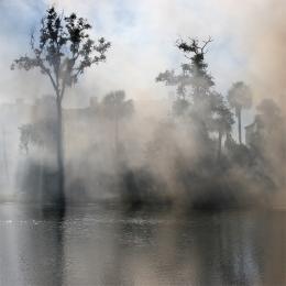 Sunlight and Smoke Picture